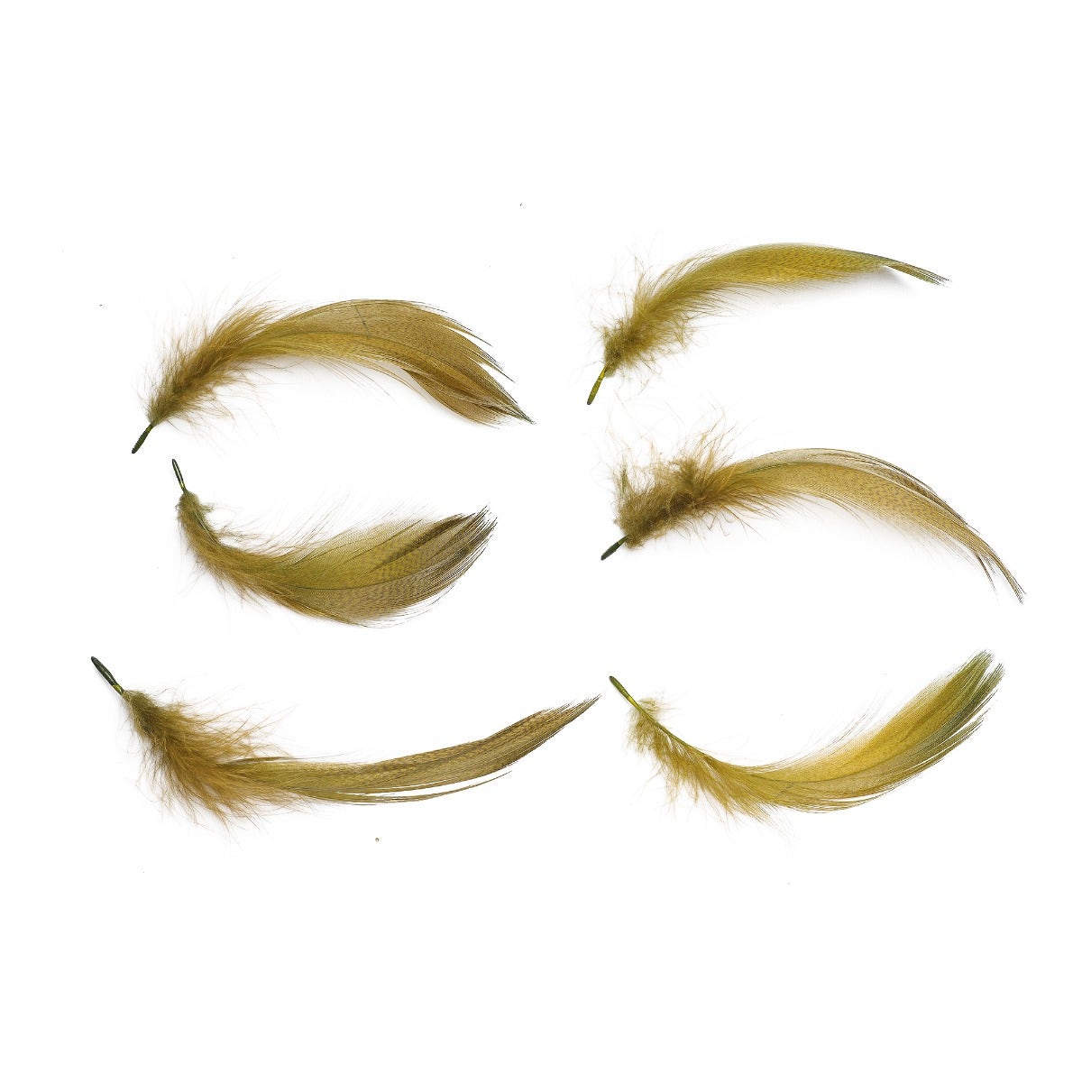 Duck Plumage Mallard Feathers - Olive