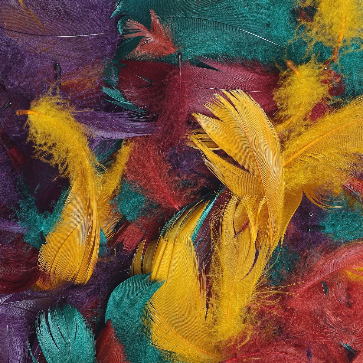 Loose Goose Coquille Mix Dyed - Autumn Mix