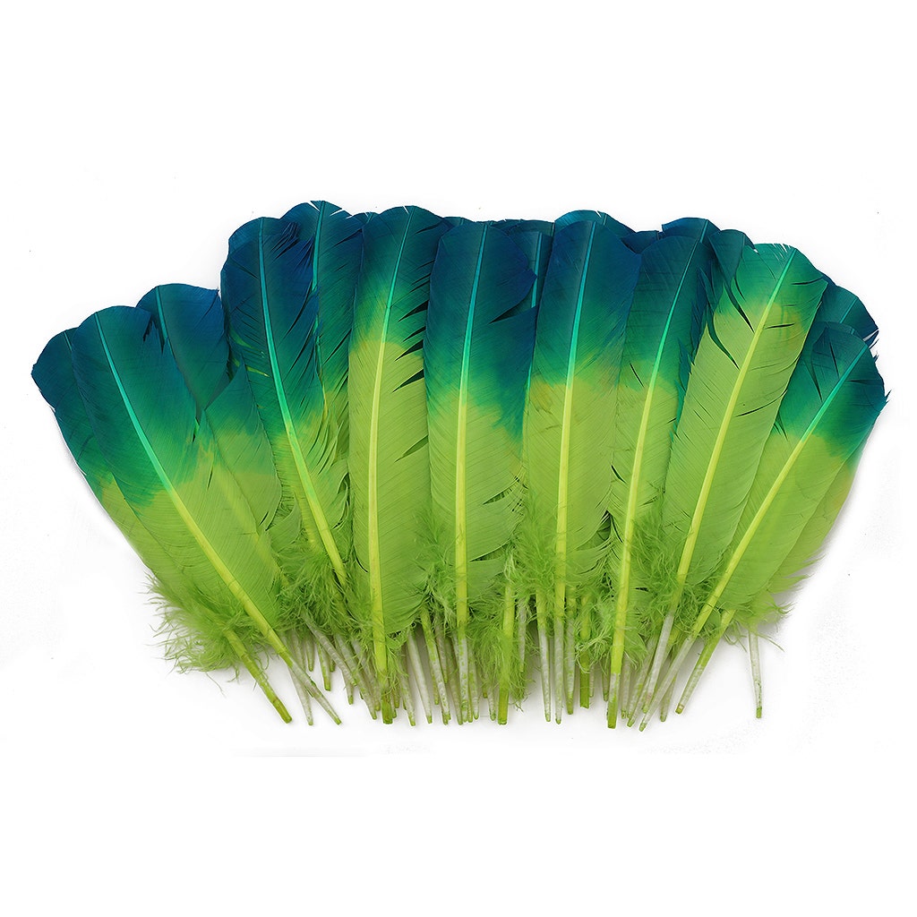 Ombre Turkey Quill Feathers 10-12" Dip .25 lb - Dark Turquiose/Lime