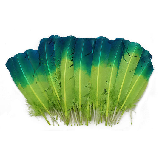 Ombre Turkey Quill Feathers 10-12" Dip .25 lb - Dark Turquiose/Lime