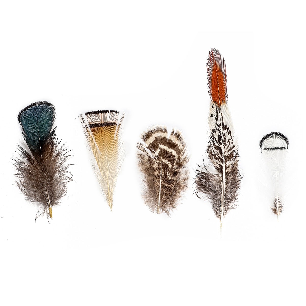 Mixed Natural, Un-dyed Feathers 1.5-4” 40 PC