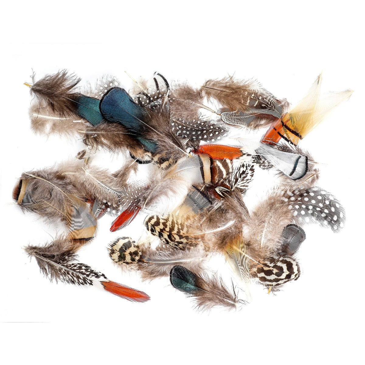 Mixed Natural, Un-dyed Feathers 1.5-4” 40 PC