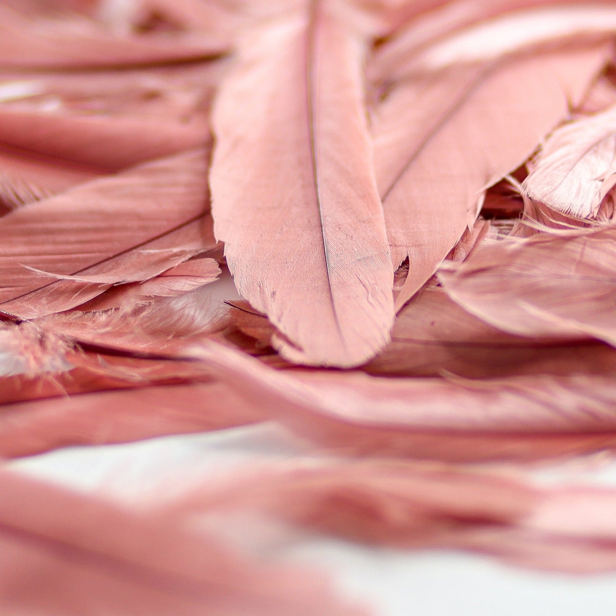 Loose Goose Satinettes Dyed - Rose