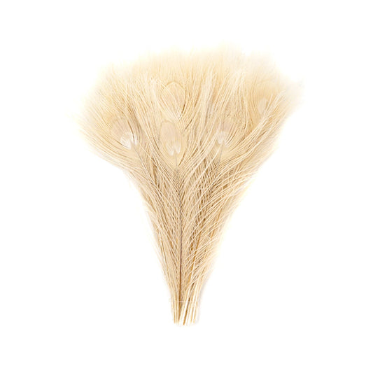 Peacock Tail Eyes Bleached and Dyed - 8-15” - 100 pc - Ivory