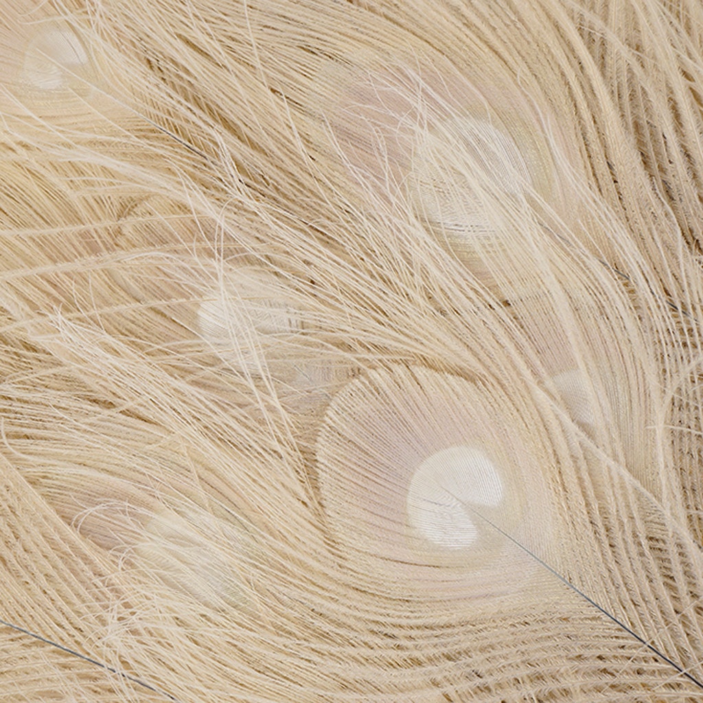 Peacock Tail Eyes Bleached Dyed - Ivory - 30 - 40"