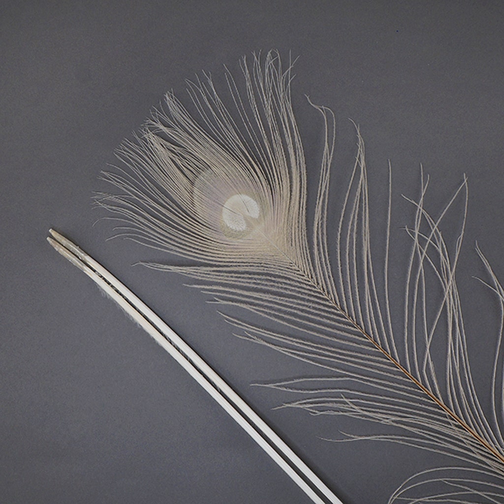 Peacock Eyes Bleached/Dyed - Ivory 30-40" - 10 PC