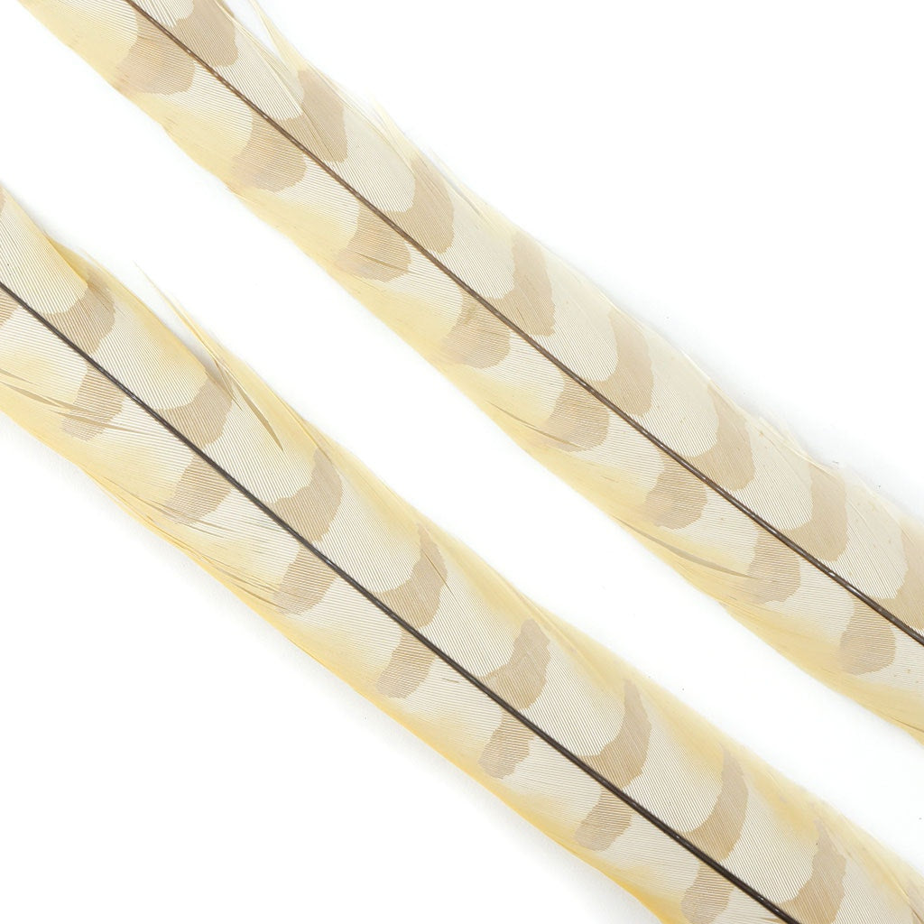 Venery Pheasant Tails - Bleached and Dyed - 30 - 40" 1pc - Ivory