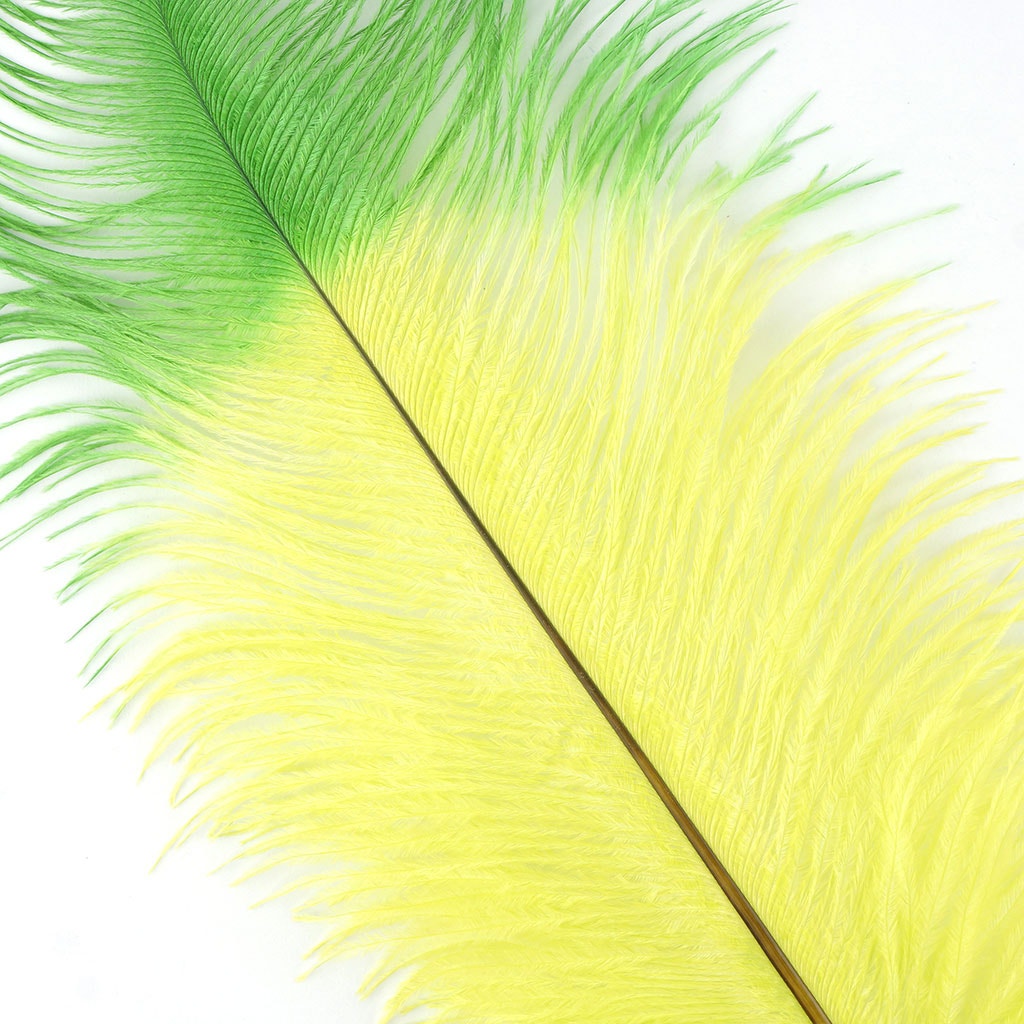 Ostrich Feather Drabs Tipped Selected - Lime - Kelly