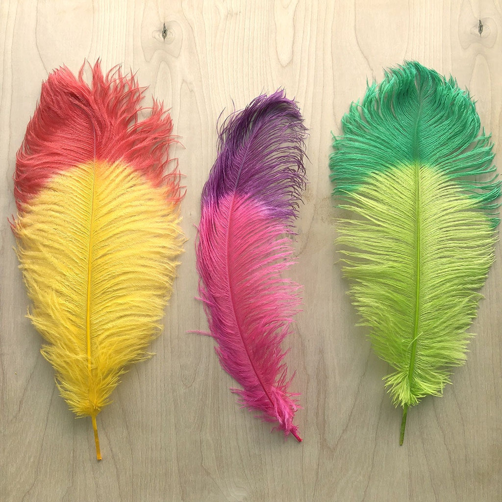 Ostrich Feather Drabs Tipped Selected - Lime - Kelly