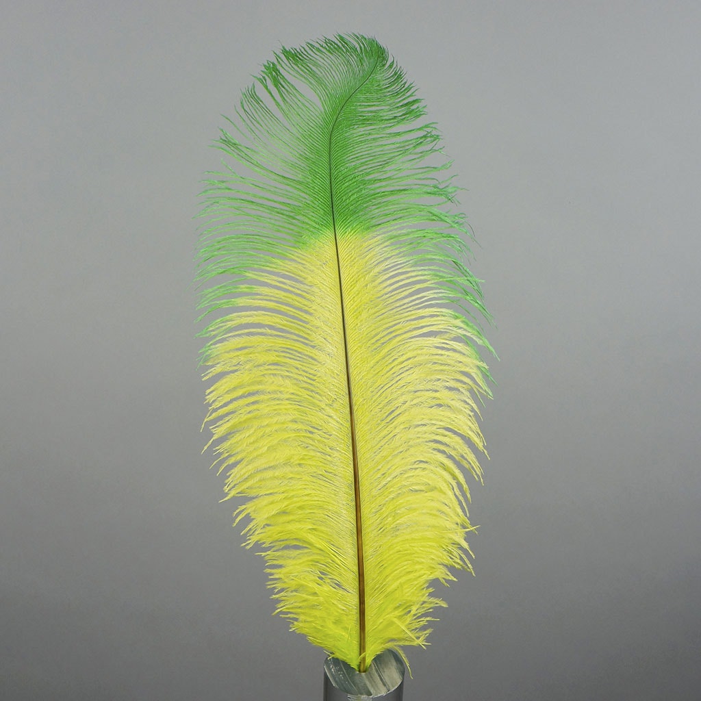 Ostrich Feather Drabs Tipped Selected - Lime - Kelly