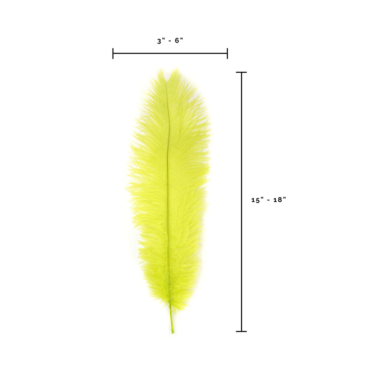 Ostrich Feathers-Narrow Drabs - Lime