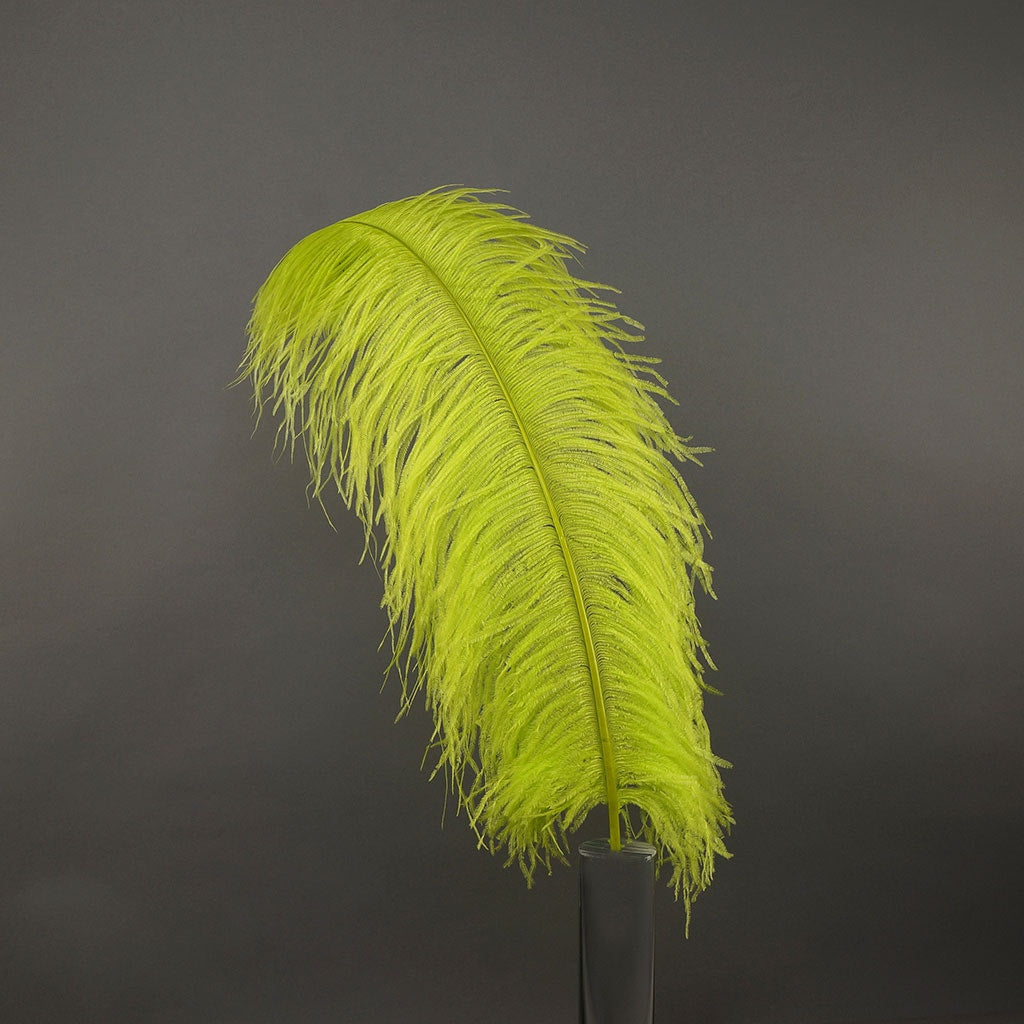 Large Ostrich Feathers - 20-25" Prime Femina Plumes - Lime
