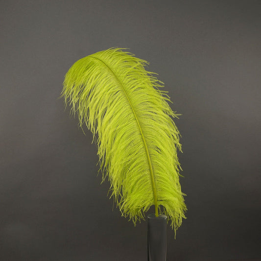 Large Ostrich Feathers - 20-25" Prime Femina Plumes - Lime