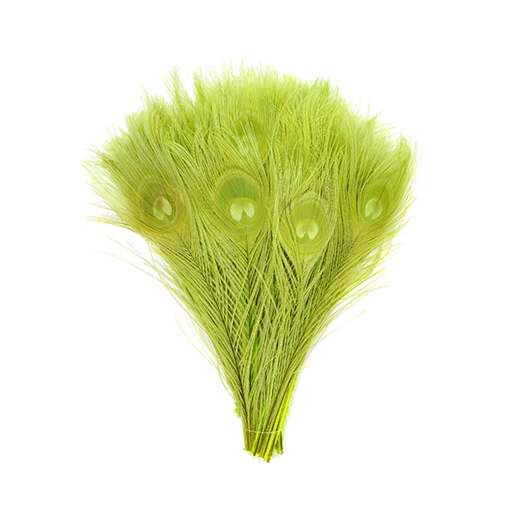 Peacock Tail Eyes Bleached and Dyed - 8-15” - 100 pc - Lime