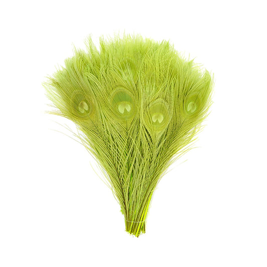 Peacock Tail Eyes Bleached and Dyed - 8-15” - 100 pc - Lime