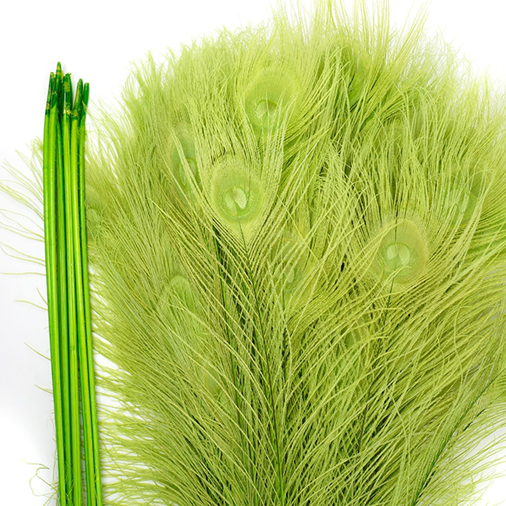 Peacock Tail Eyes Bleached Dyed - Lime