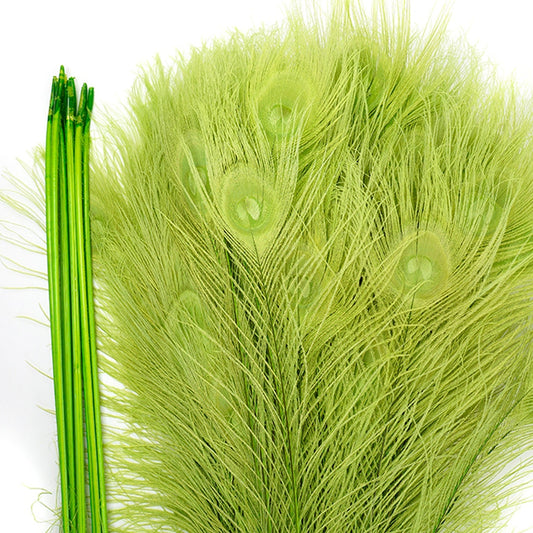 Peacock Tail Eyes Bleached Dyed - Lime
