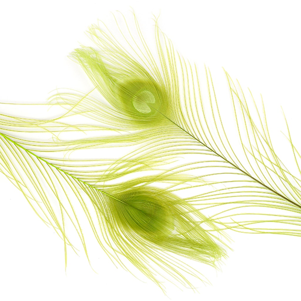 Peacock Tail Eyes Bleached Dyed - Lime