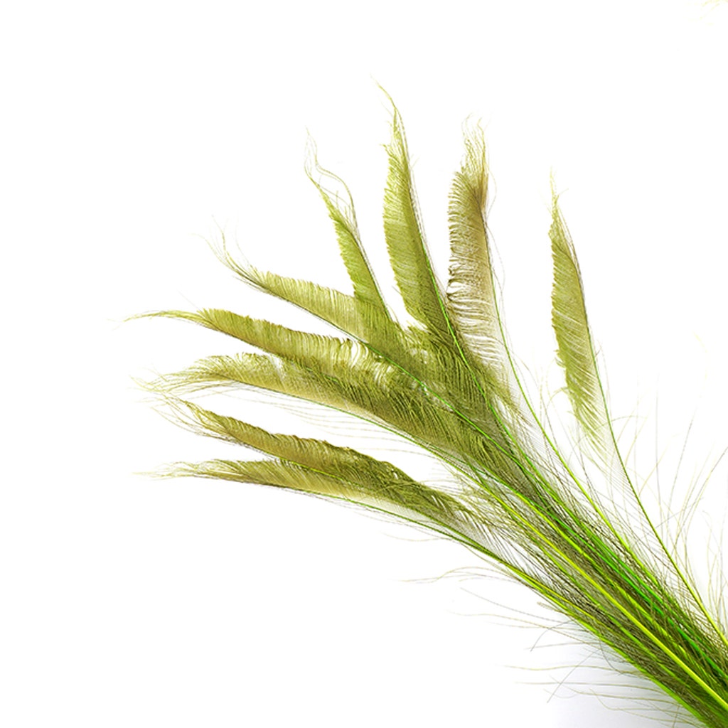 Peacock Swords Bleach Dyed - Lime