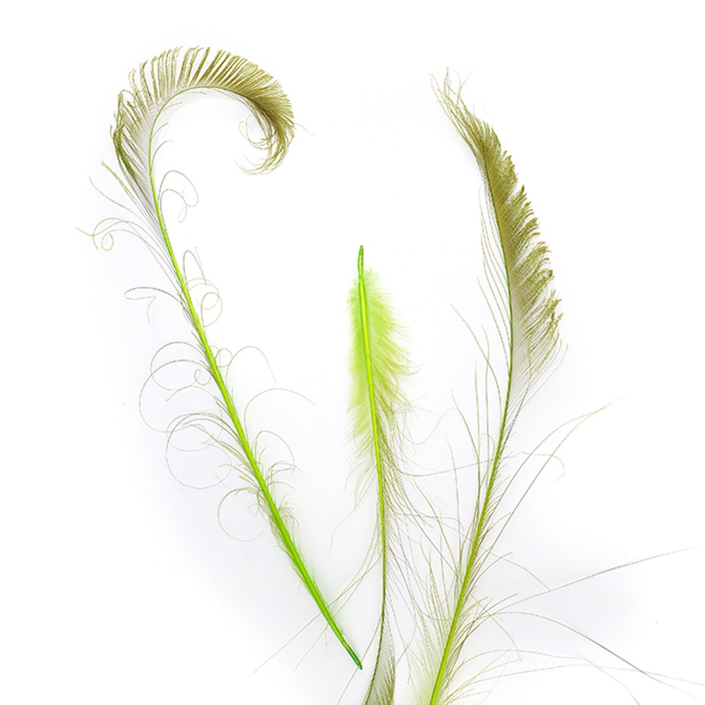 Peacock Swords Bleach Dyed - Lime