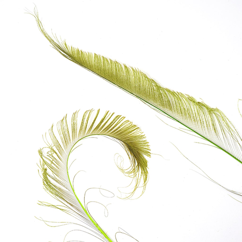 Peacock Swords Bleach Dyed - Lime