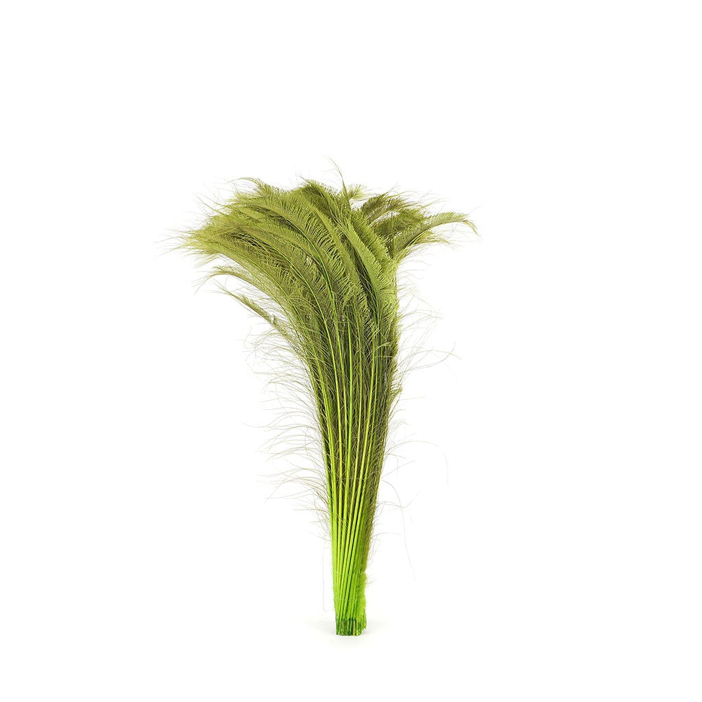 Peacock Swords Bleached Dyed - Lime