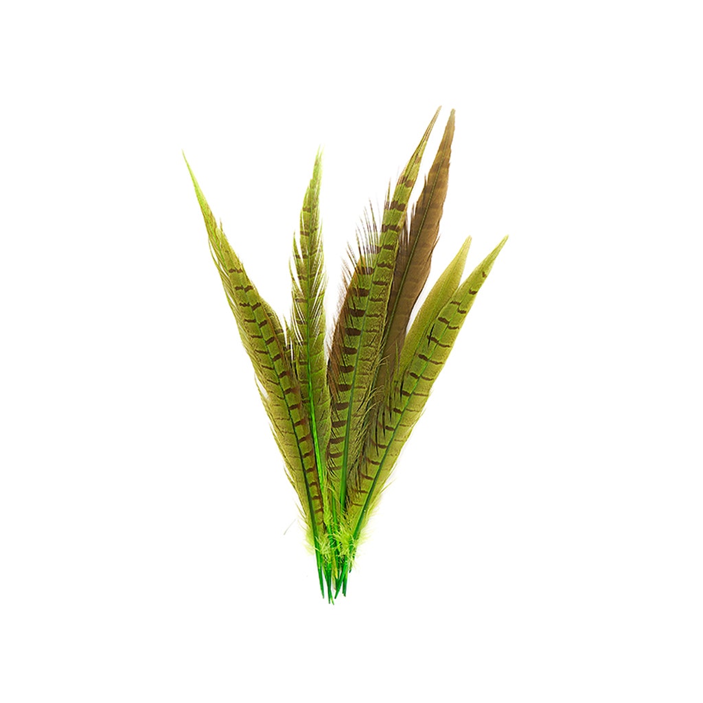 Assorted Pheasant Tails Dyed - Lime