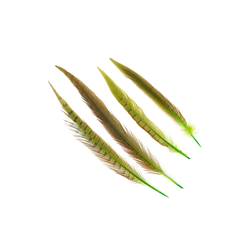 Assorted Pheasant Tails Dyed - Lime
