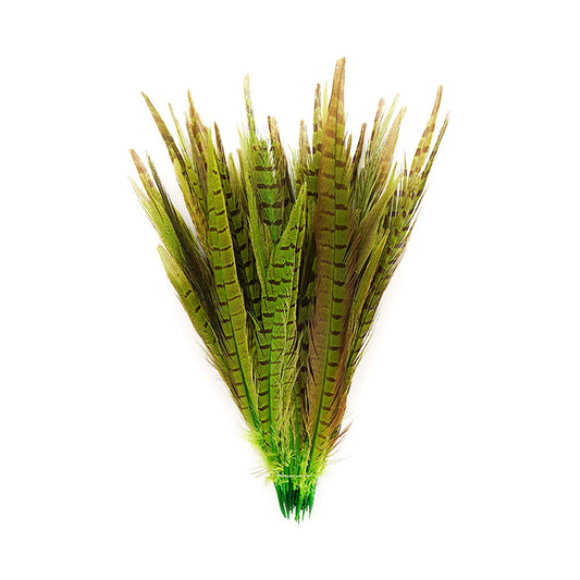Assorted Pheasant Tails Dyed - Lime