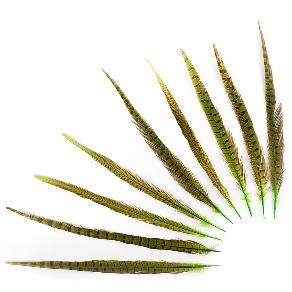 Assorted Pheasant Tails Dyed - Lime