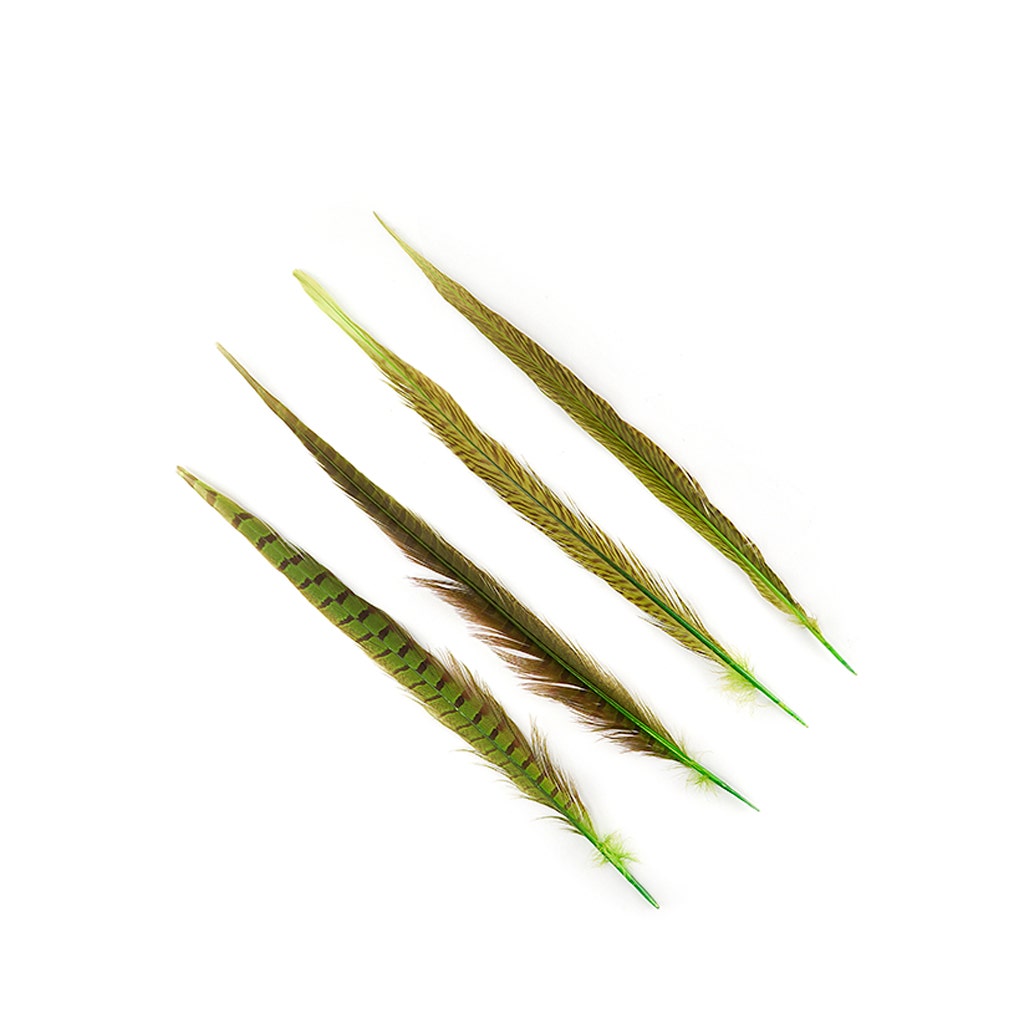Assorted Pheasant Tails Dyed - Lime