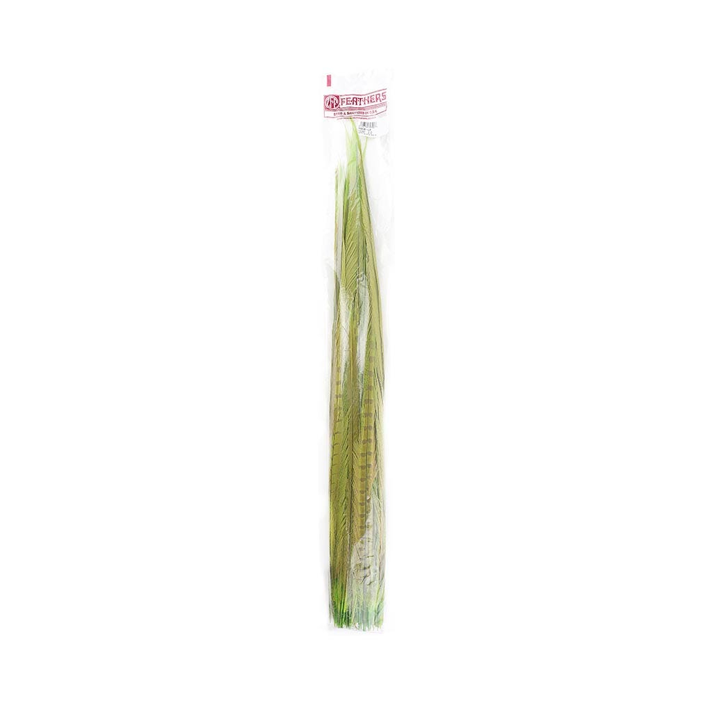 Assorted Pheasant Tails Dyed - Lime