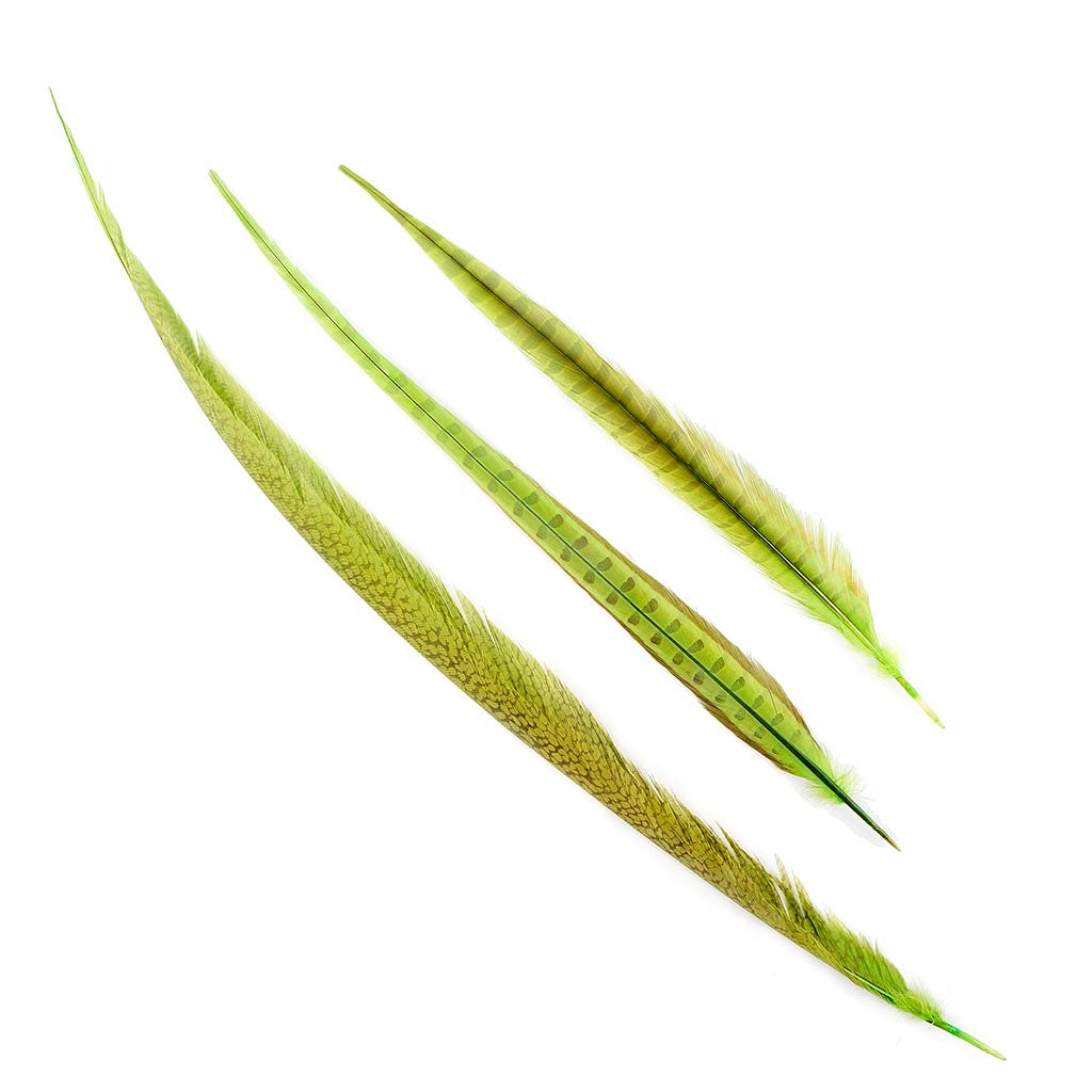 Assorted Pheasant Tails Dyed - Lime