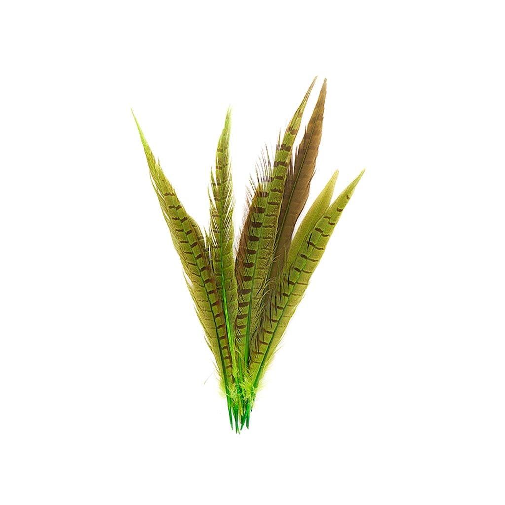 Pheasant Tails Assorted Bleached - Lime