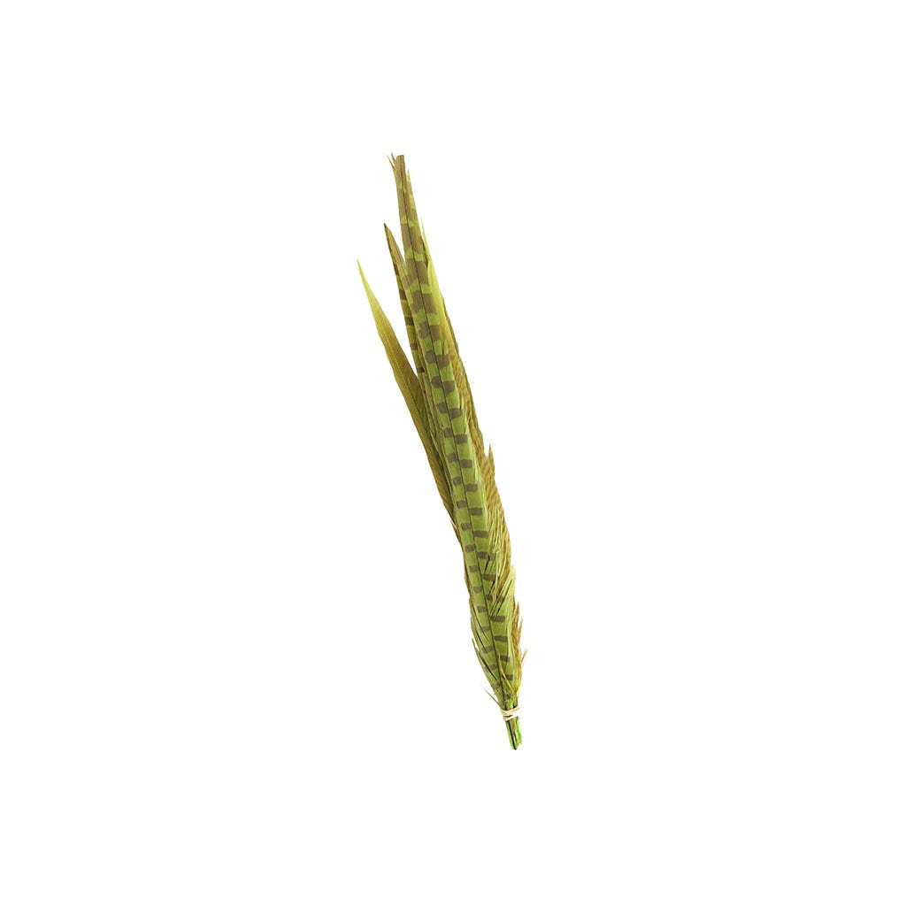 Pheasant Tails Assorted Bleached - Lime