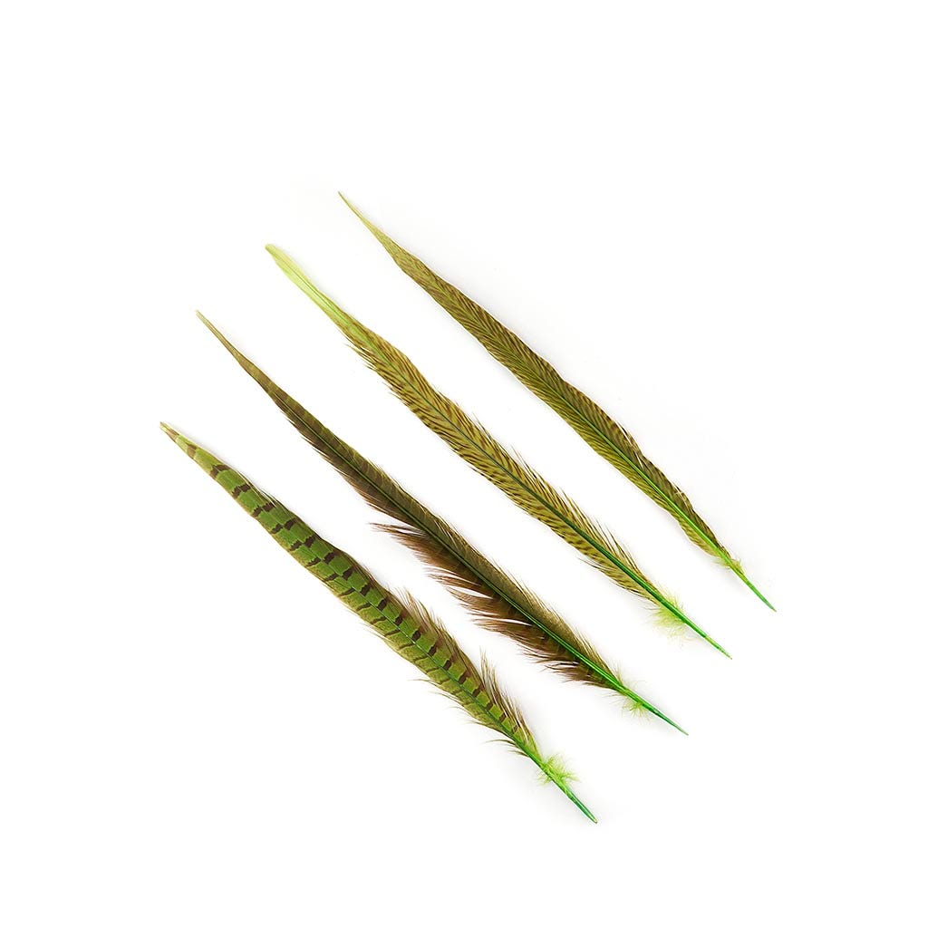 Pheasant Tails Assorted Bleached - Lime