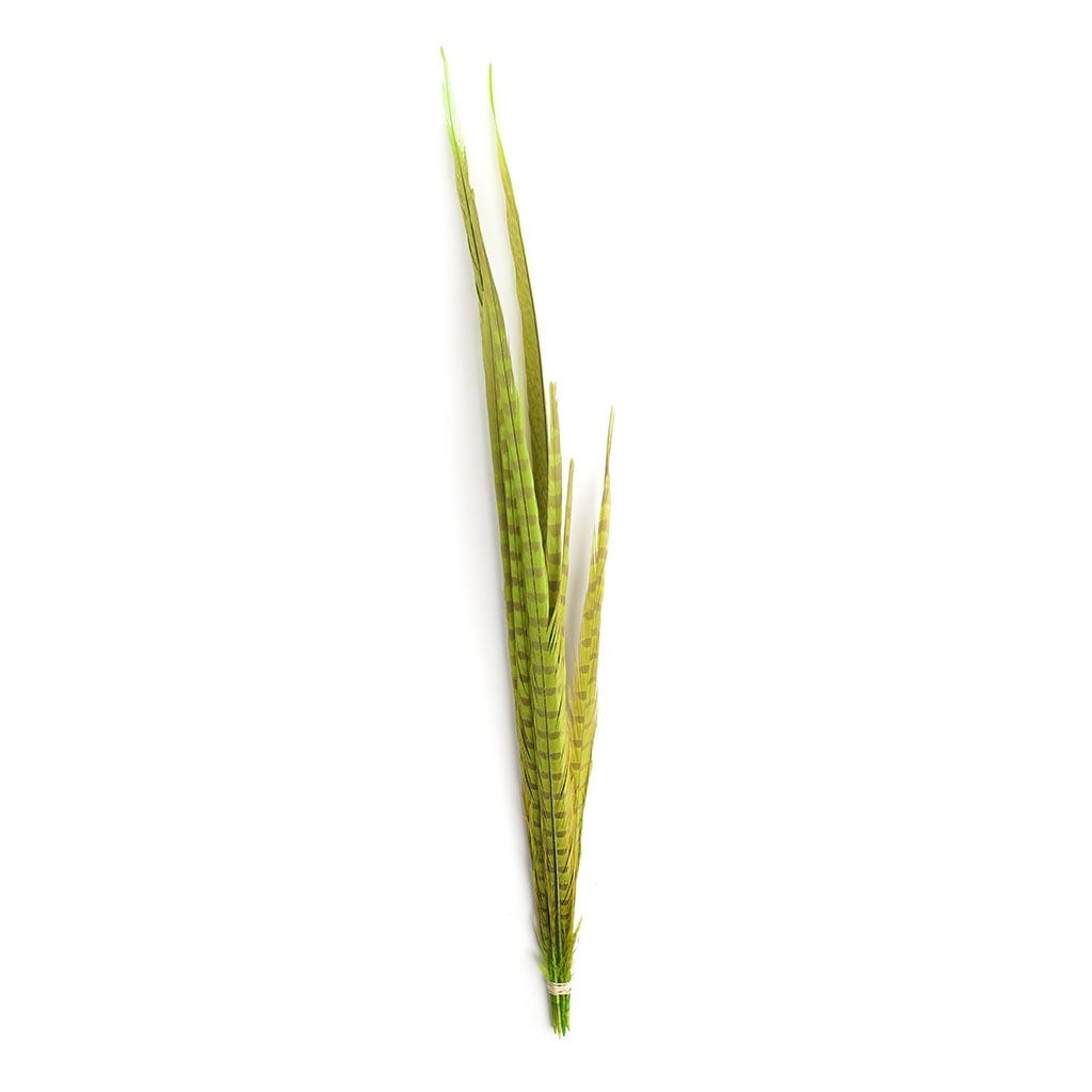 Pheasant Tails Assorted Bleached - Lime