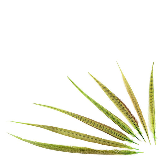 Pheasant Tails Assorted Bleached - Lime