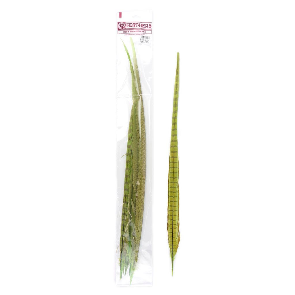 Pheasant Tails Assorted Bleached - Lime