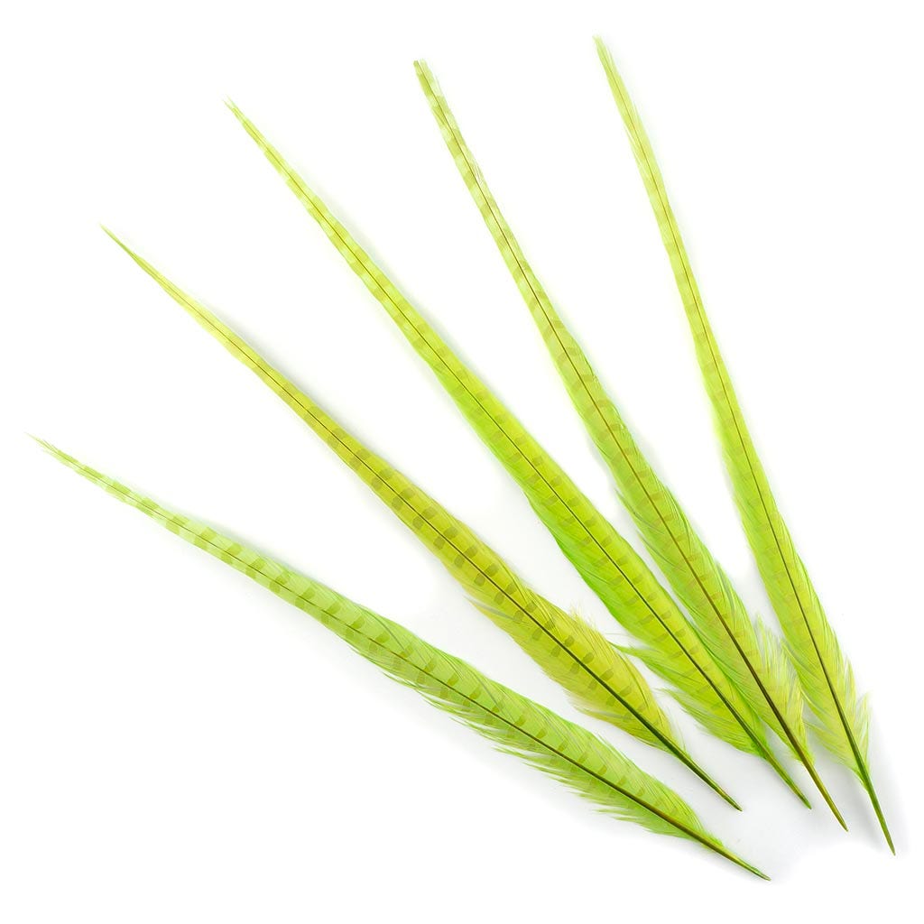 Ringneck Pheasant Tails Bleached & Dyed Lime