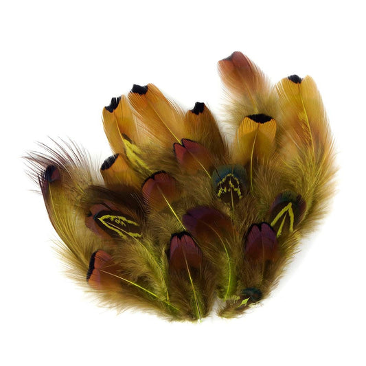 Ringneck Plumage-Heart Lime