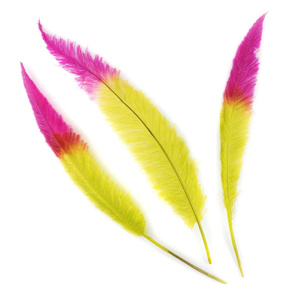 Ostrich Nandu Tipped Feathers Selected - Fl Lime Green - Shocking Pink