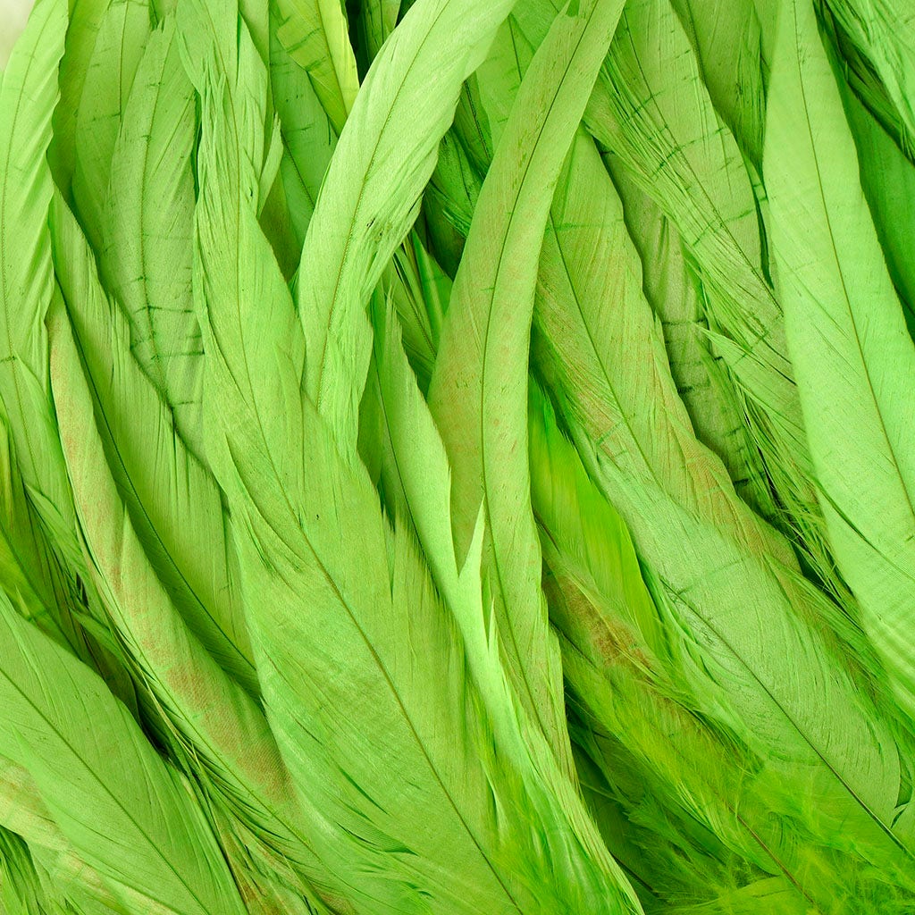 Rooster Coque Tails-Bleach-Dyed - Lime