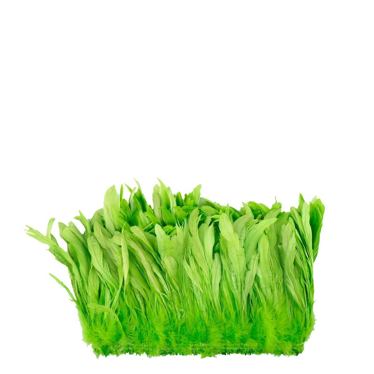 ROOSTER COQUE TAILS FEATHERS BLEACH DYED 7-10” - 1/2 Yard ( 18" ) - Lime