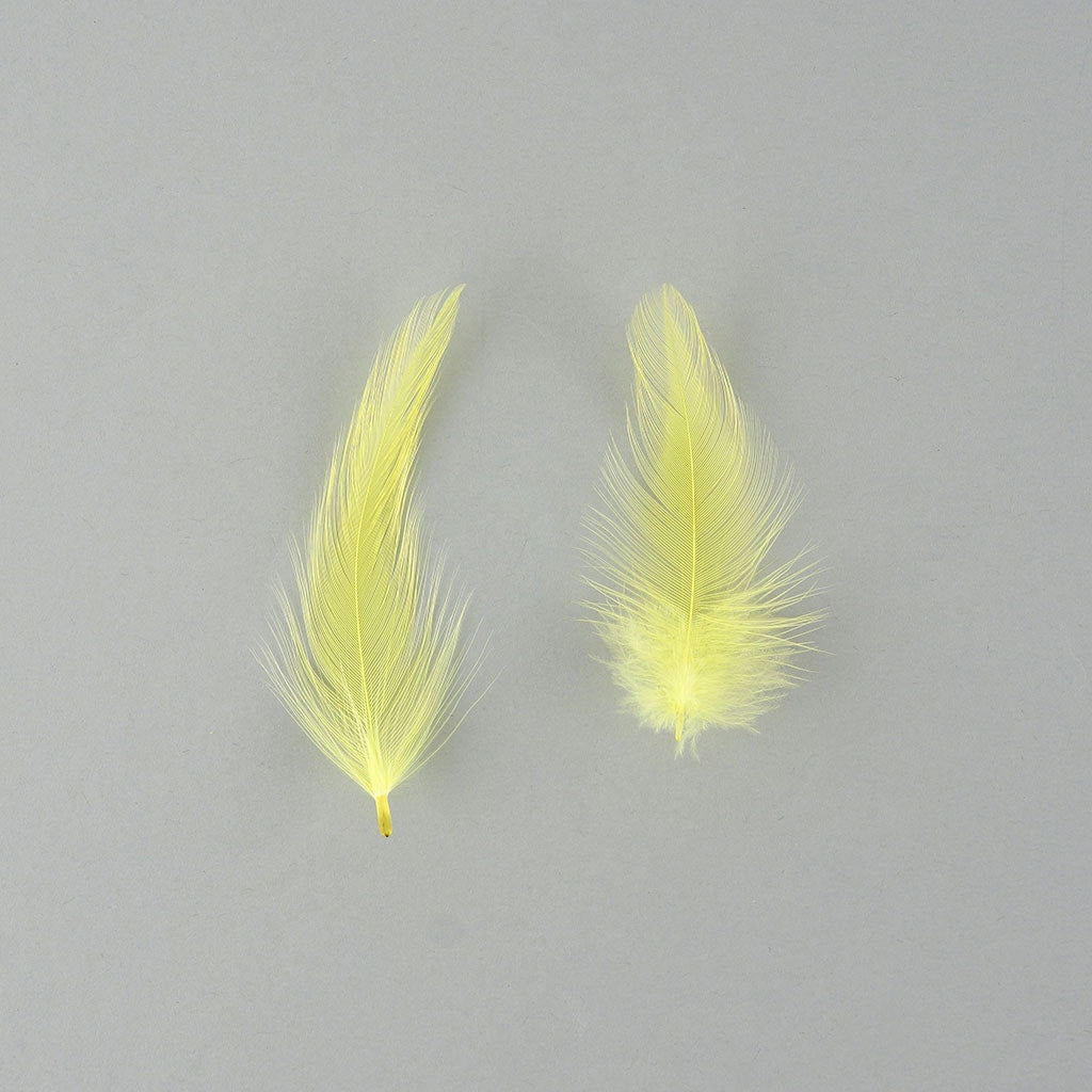 Rooster Hackle Feather Dyed 1-3" - Fl Chartreuse