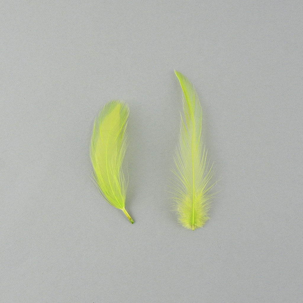 Rooster Hackle-Dyed - Lime