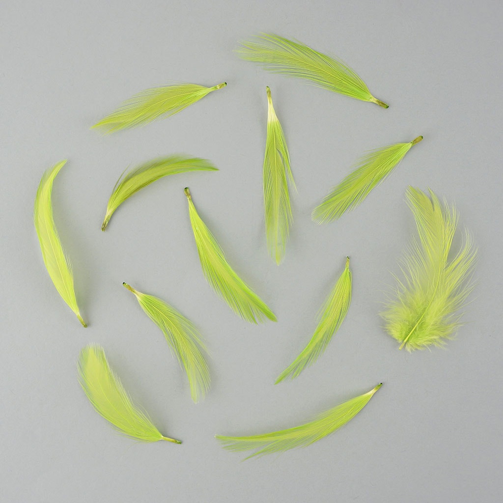 Rooster Hackle-Dyed - Lime