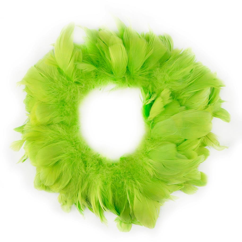 Goose Nagorie Feathers Dyed - Lime