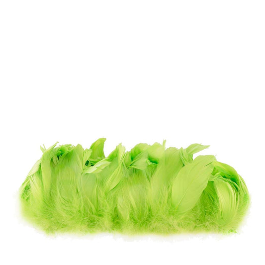 Goose Nagorie Feathers Dyed - Lime