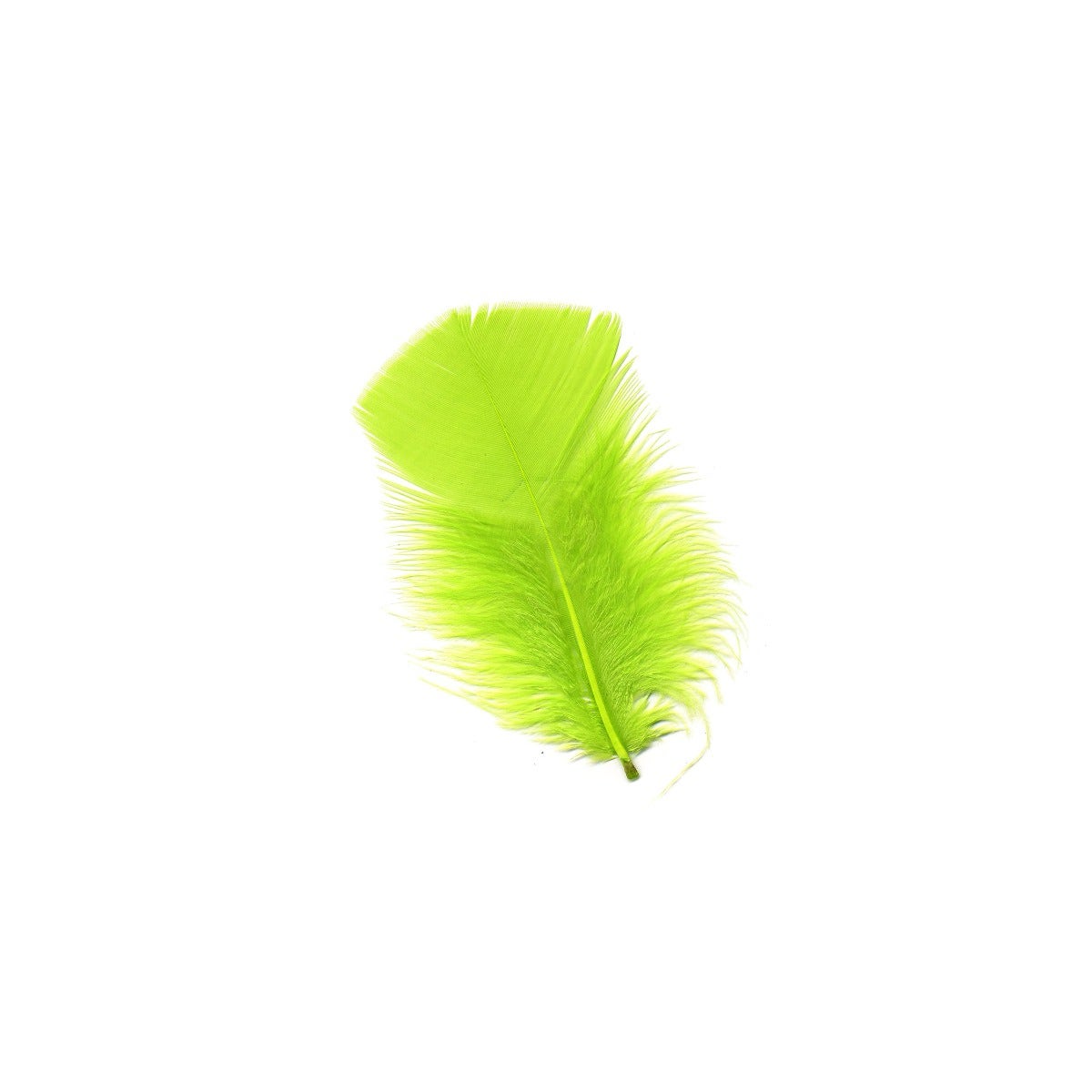 Loose Turkey Plumage Feathers - 1/4 lb - Lime